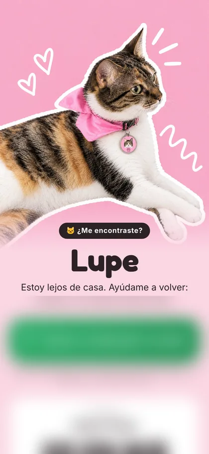Placa de Lupe