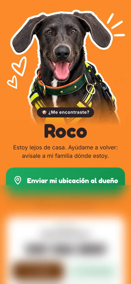 Placa de Roco